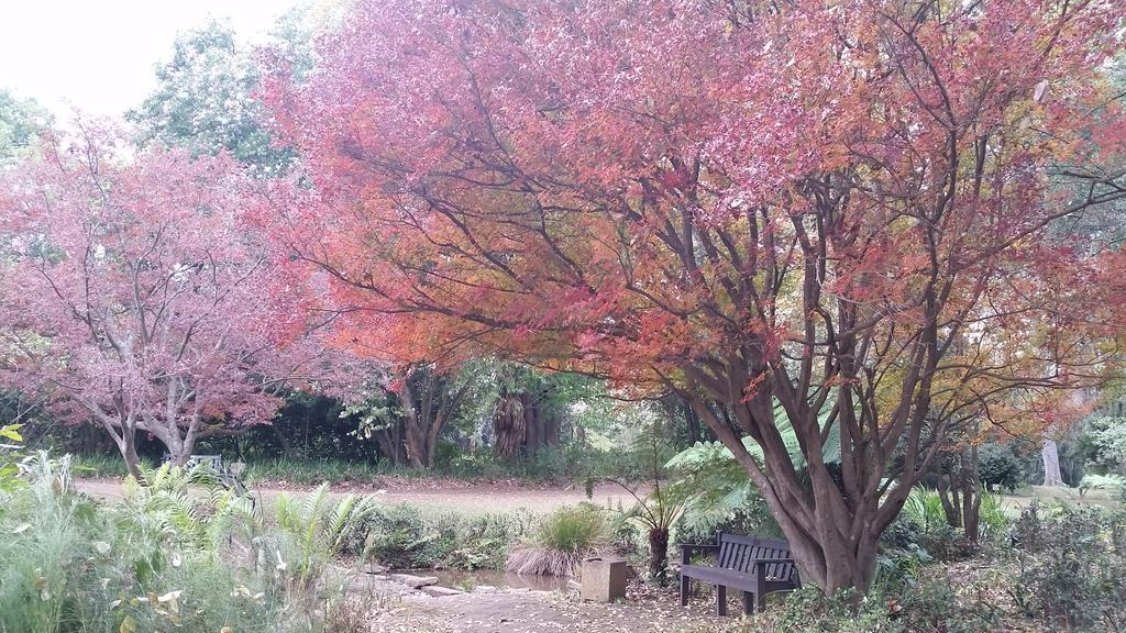 Babbling Brook Bed & Breakfast ピーターマリッツバーグ エクステリア 写真