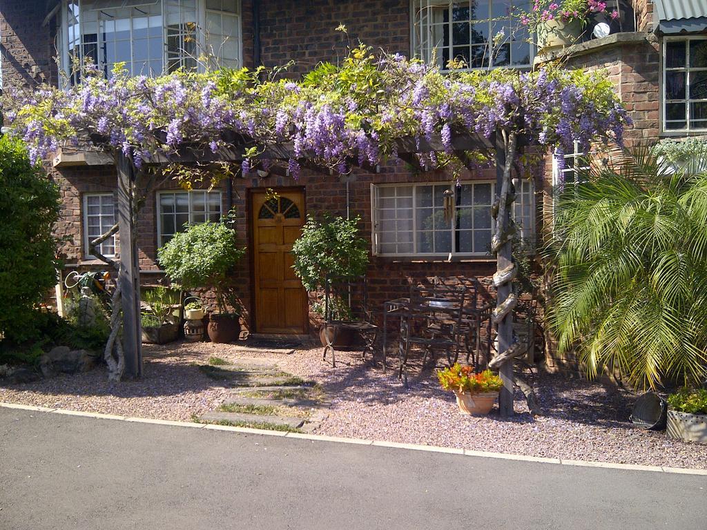 Babbling Brook Bed & Breakfast ピーターマリッツバーグ エクステリア 写真